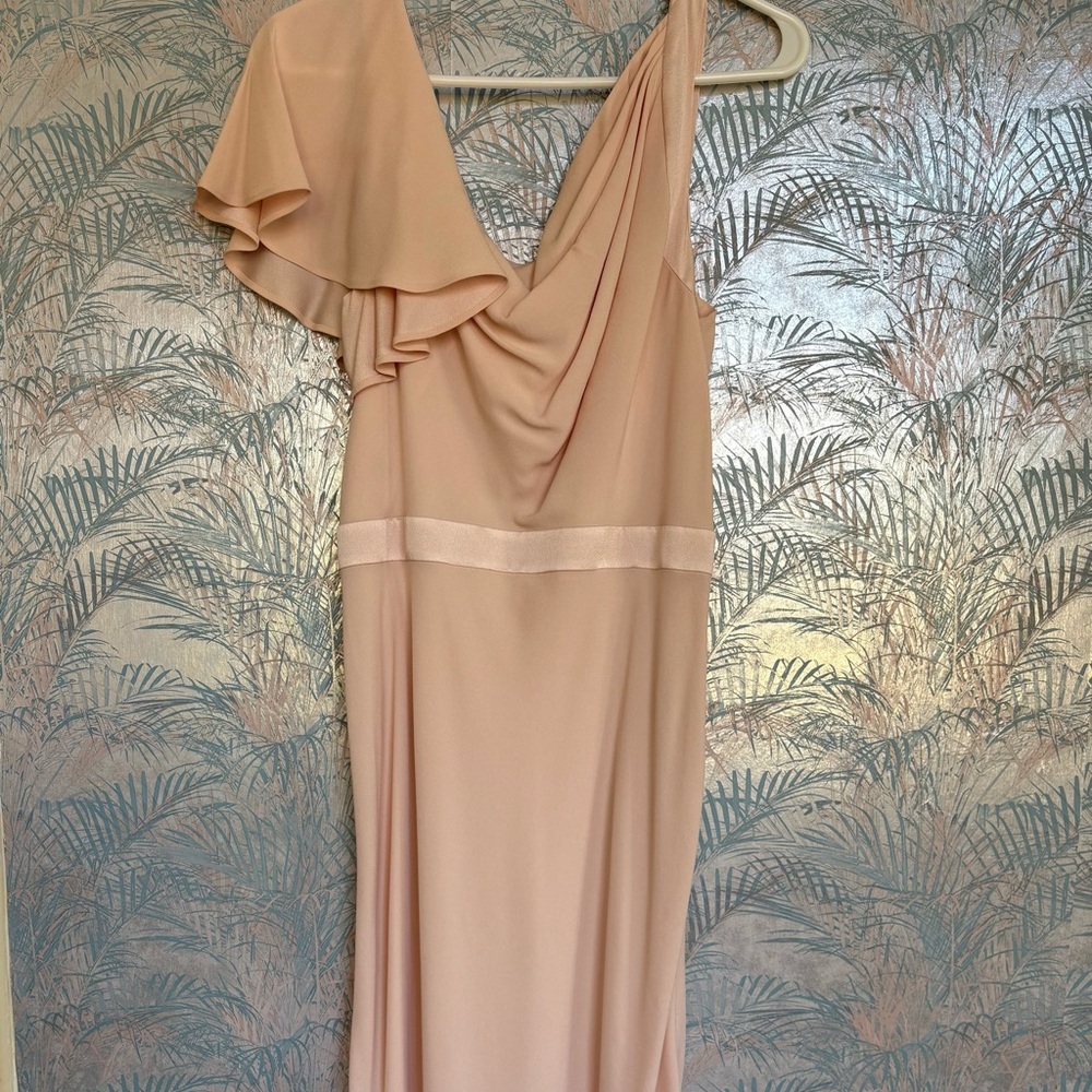 Luxary Alexander McQueen Blush One-Shoulder Dress